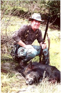Here's my first wild pig, a sow that the guide said probably went around 150 lbs.  