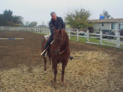 Good horse!  I think this is gonna be a great relationship!