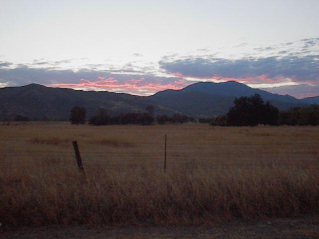 Photo of Mendocino Nat'l Forest- by Elwing