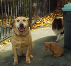 The proud, adoptive mom, Sandy shows off her new baby.